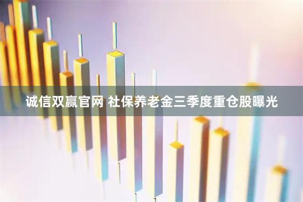 诚信双赢官网 社保养老金三季度重仓股曝光