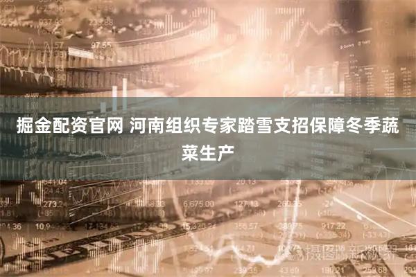 掘金配资官网 河南组织专家踏雪支招保障冬季蔬菜生产